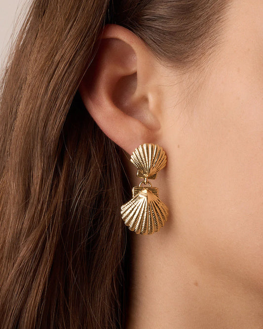 Shell Drop Earrings