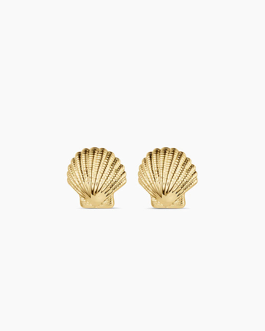 Shell Statement Studs