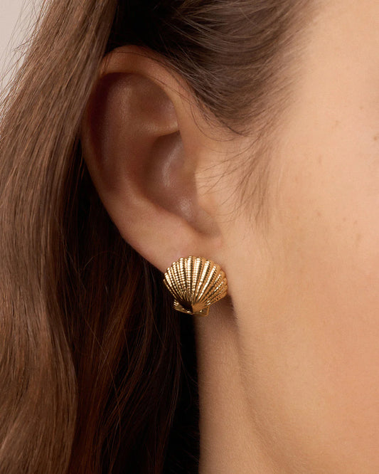 Shell Statement Studs